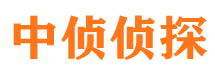 山城市私家侦探